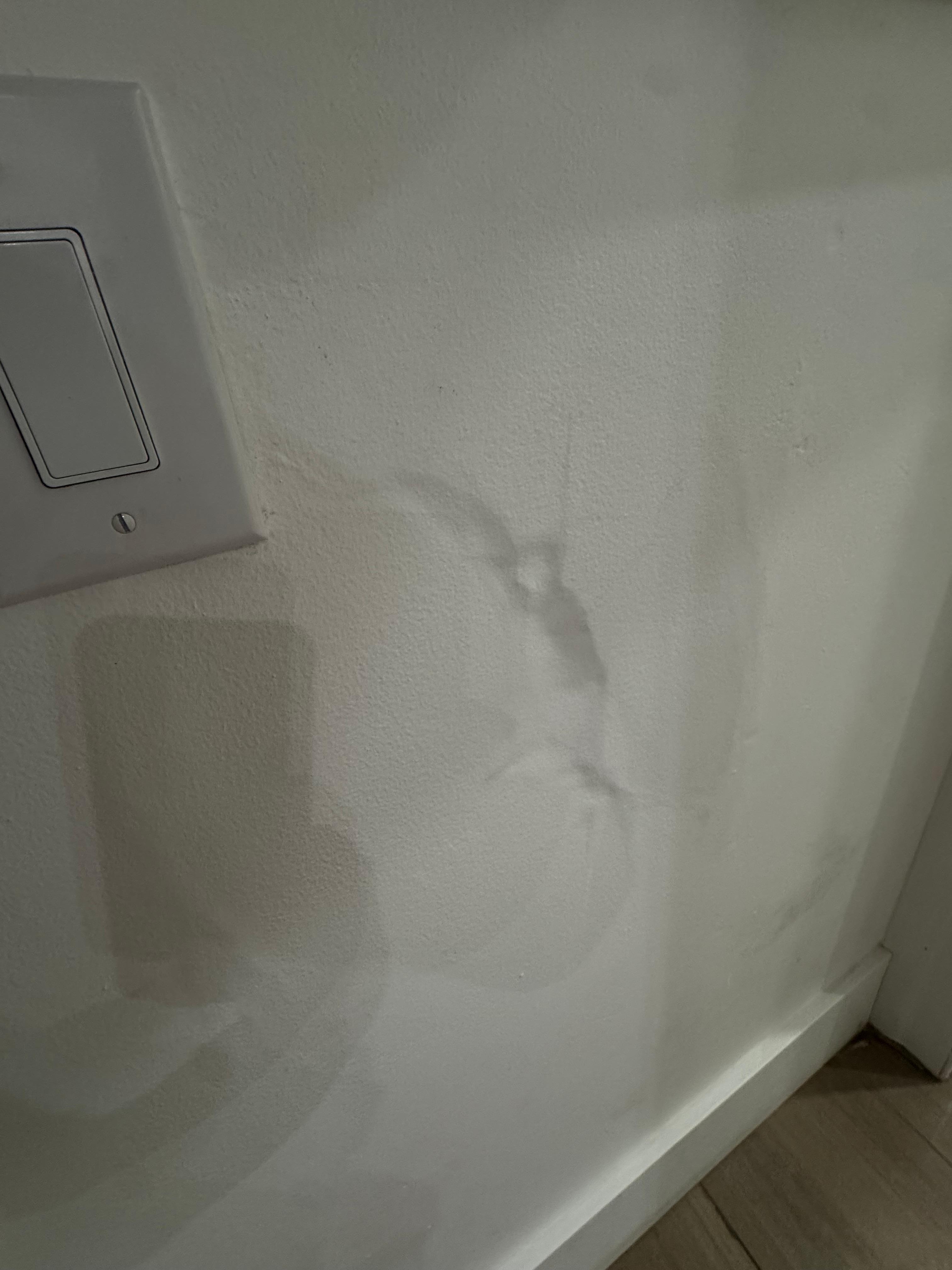 Wet and squishy wall connecting the bathroom and laundry room. 