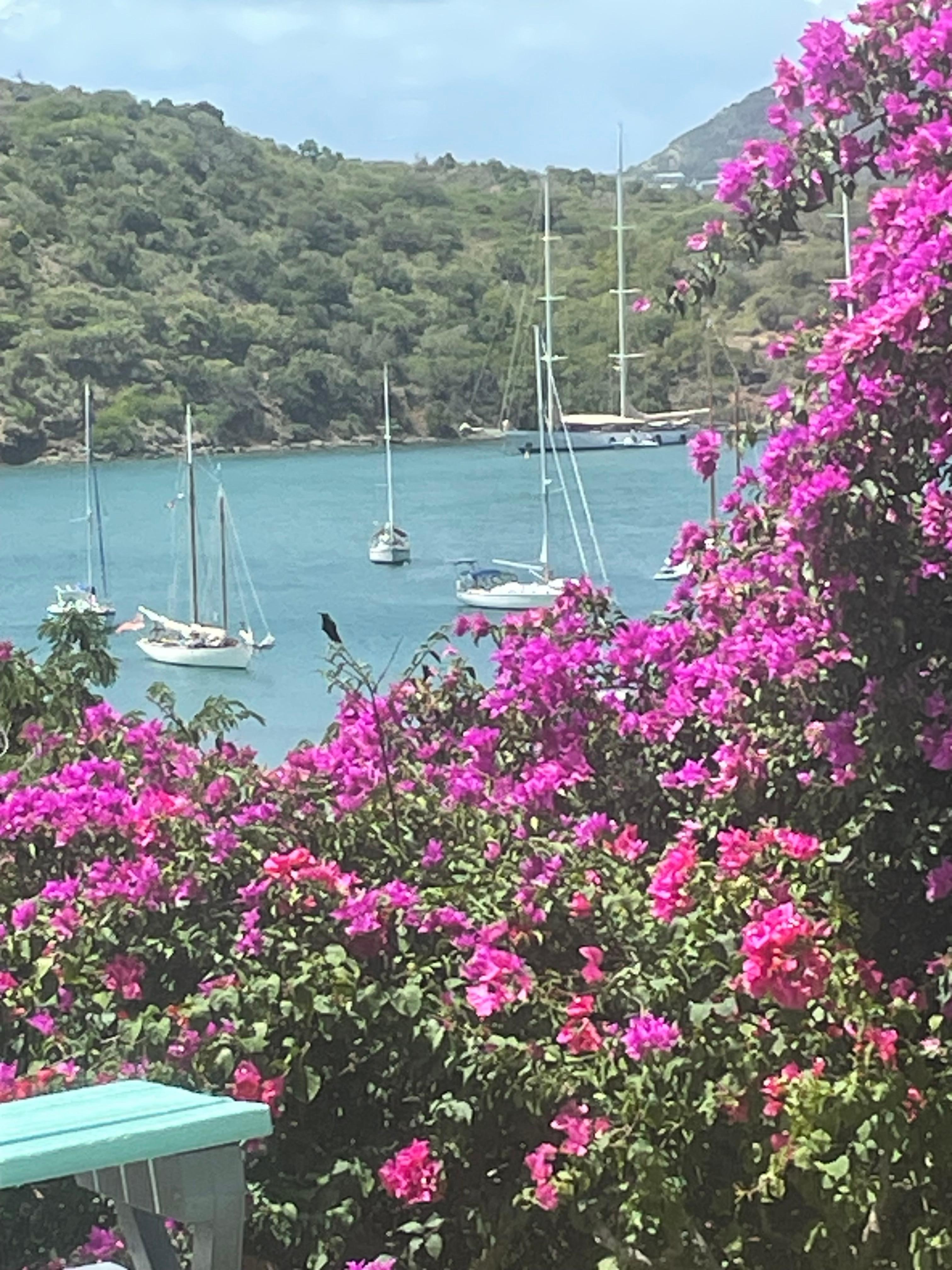 View from the apartment 