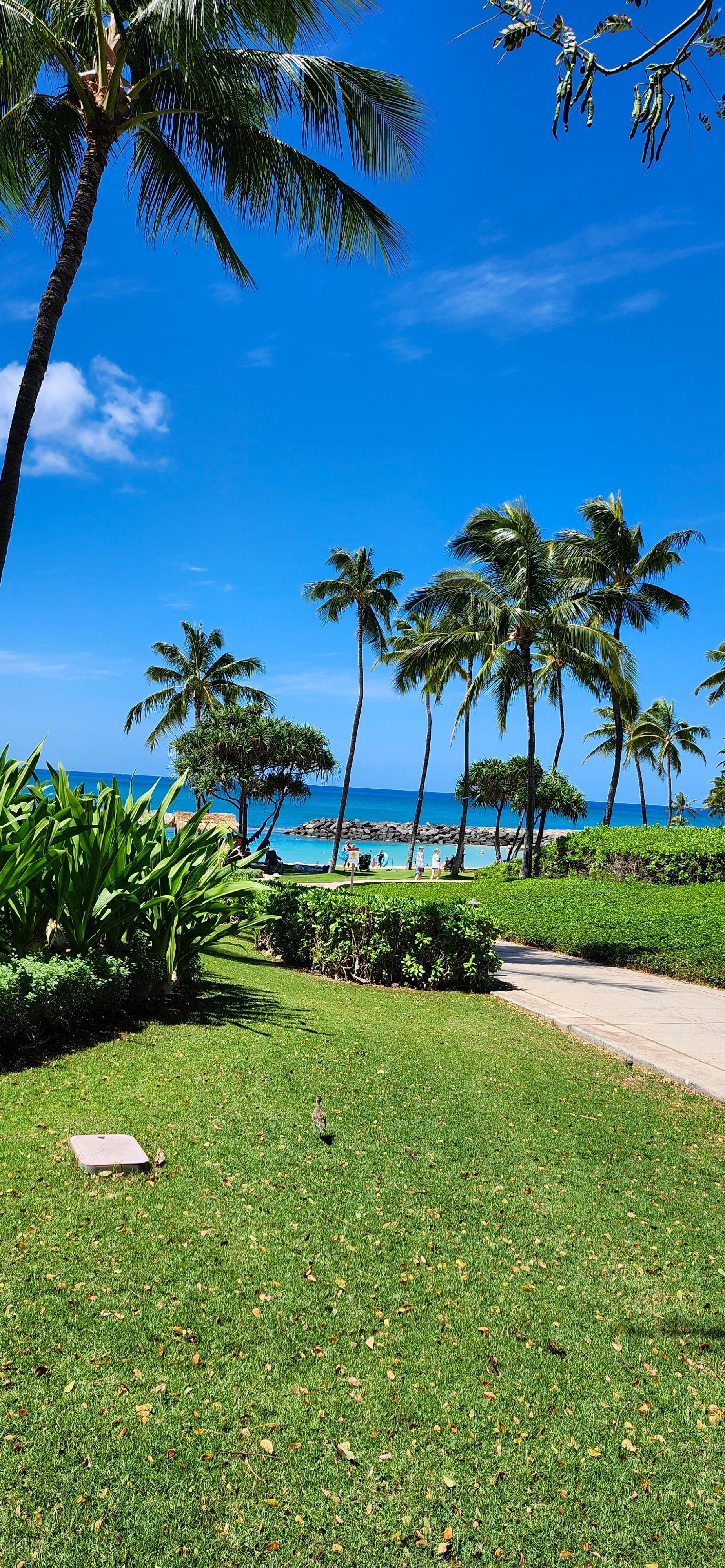 Path on the lagoons walk