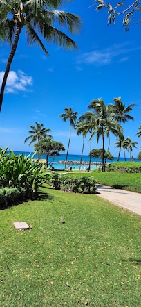 Path on the lagoons walk