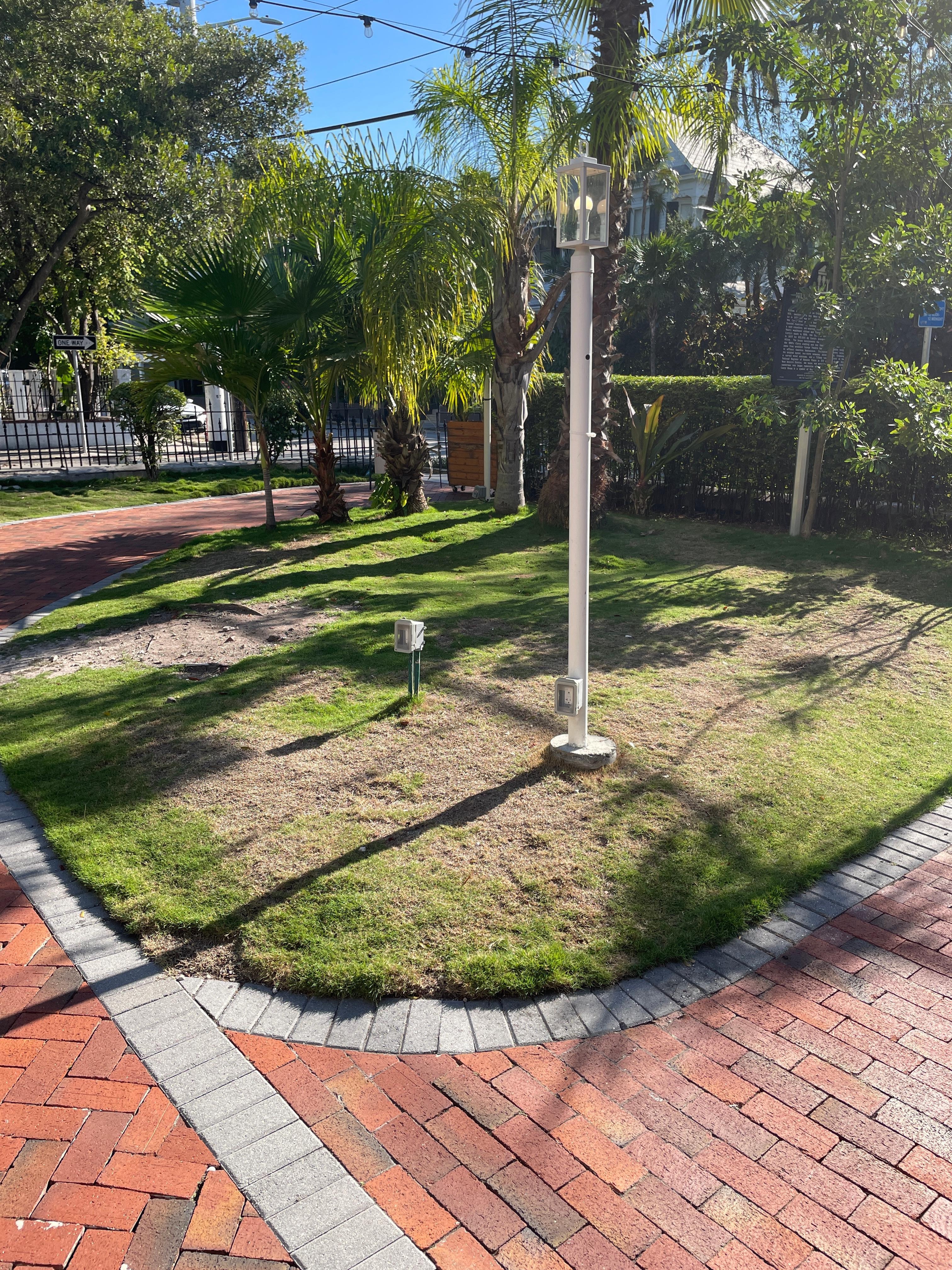 Spotty, neglected front yard - where passersby would wander in to relieve their pets. 
