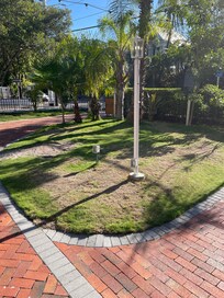 Spotty, neglected front yard - where passersby would wander in to relieve their pets.