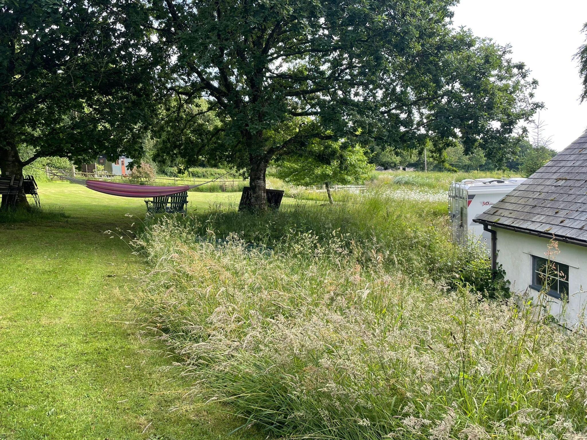 (Field with the pond + hammock + extra seating)