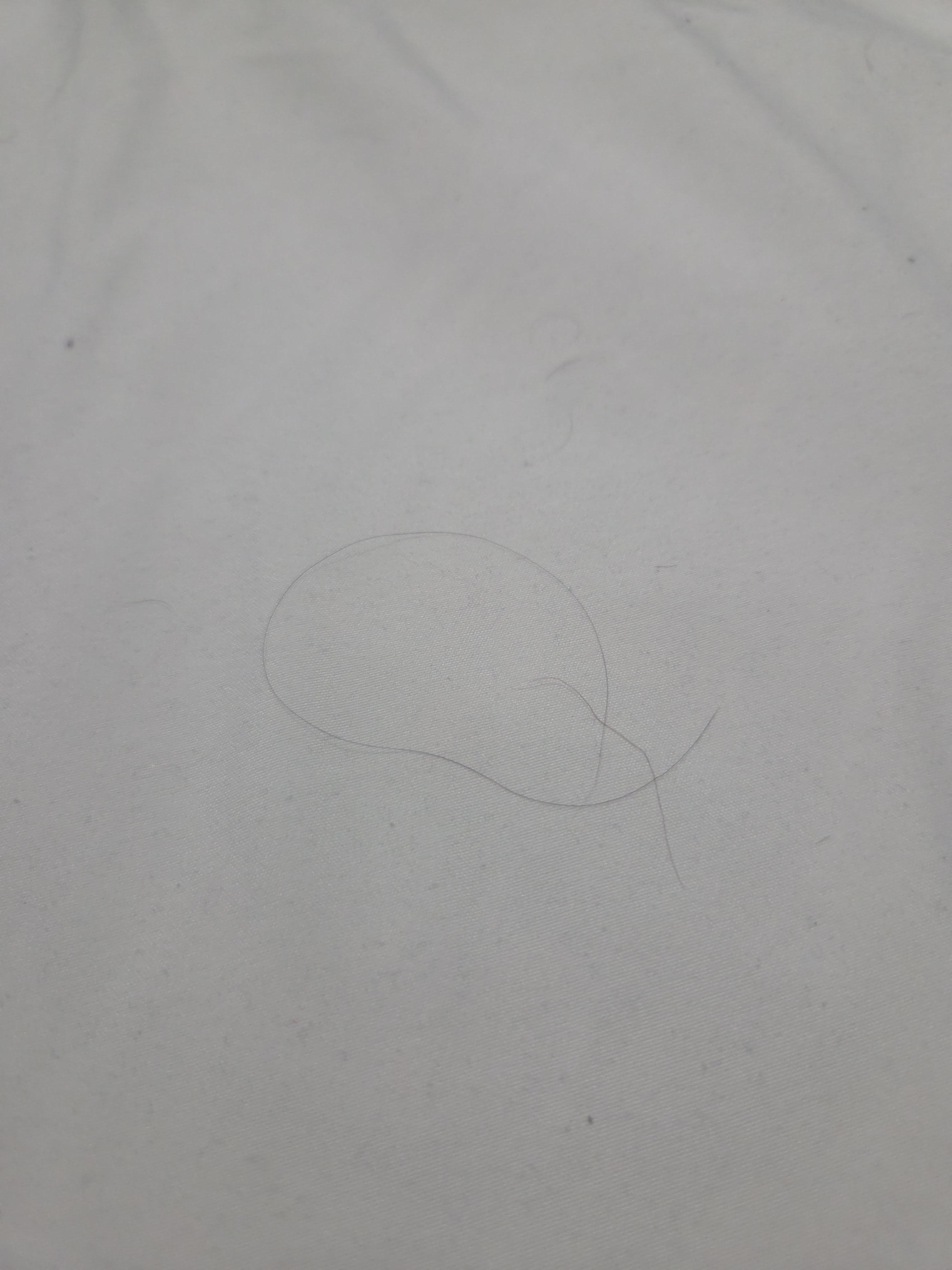 This was a photo of hairs on the sheets when I lifted the comforter. Hairs were everywhere though including sink, shower and other beds. 