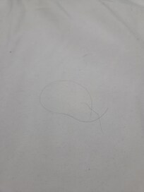 This was a photo of hairs on the sheets when I lifted the comforter. Hairs were everywhere though including sink, shower and other beds.