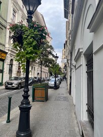 The street in front of this rental