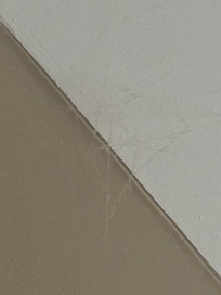 Nid de poussière/araignée au plafond