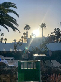 Morning view from patio