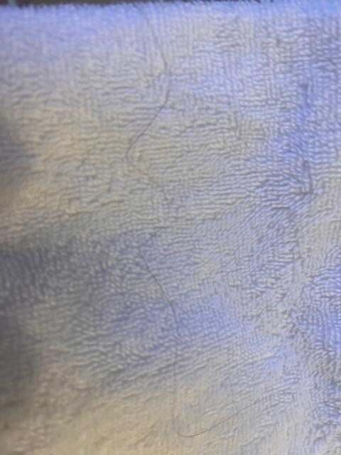hair on towel