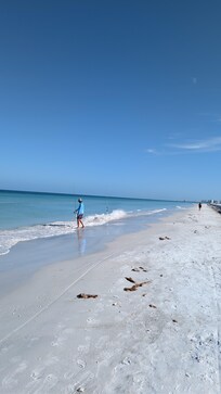 Fishing on the Gulf of America (Belleair Beach FL)