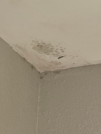 Mold in bathroom