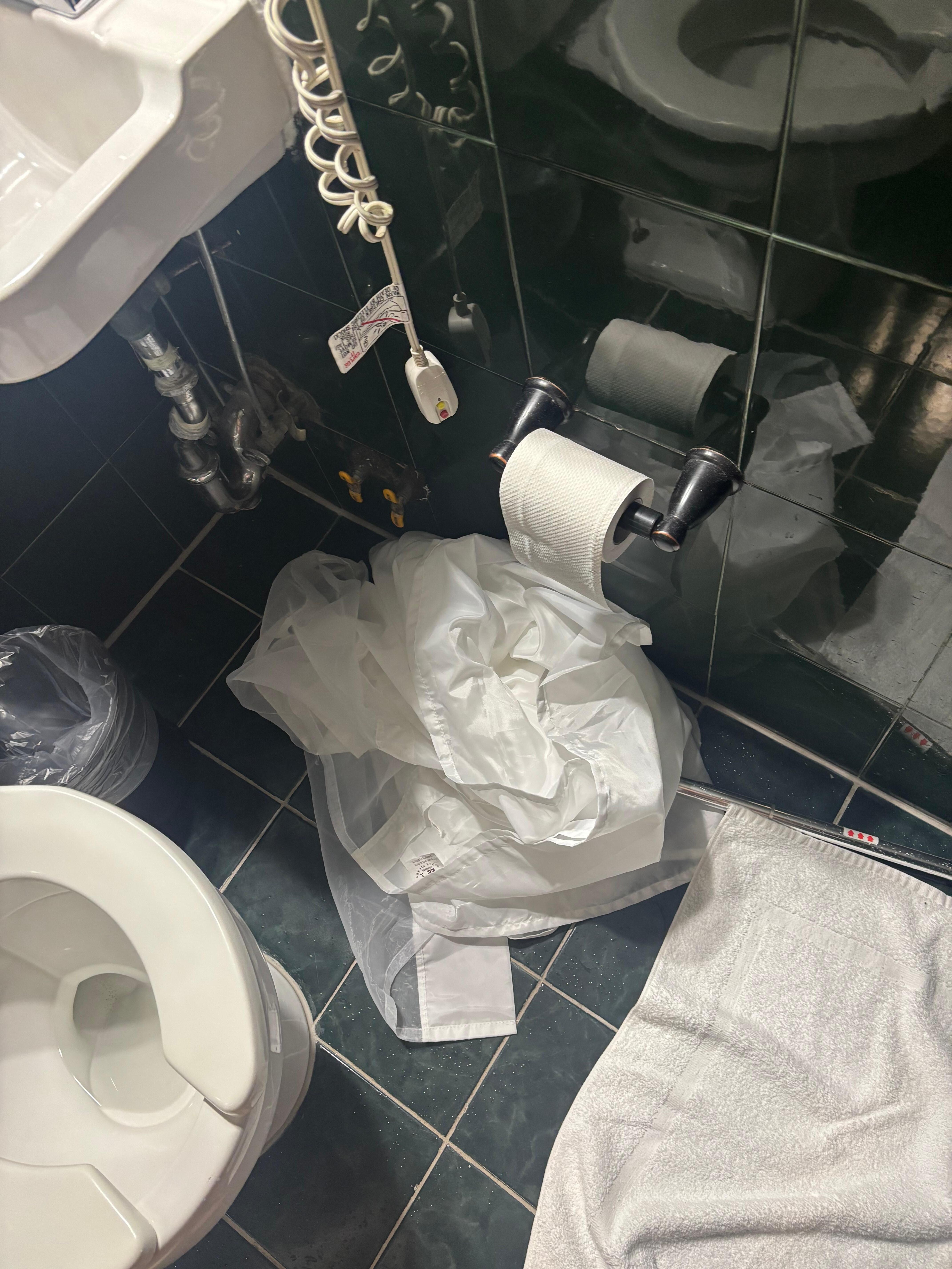 Shower curtain on floor