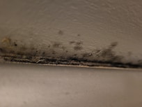 Mold