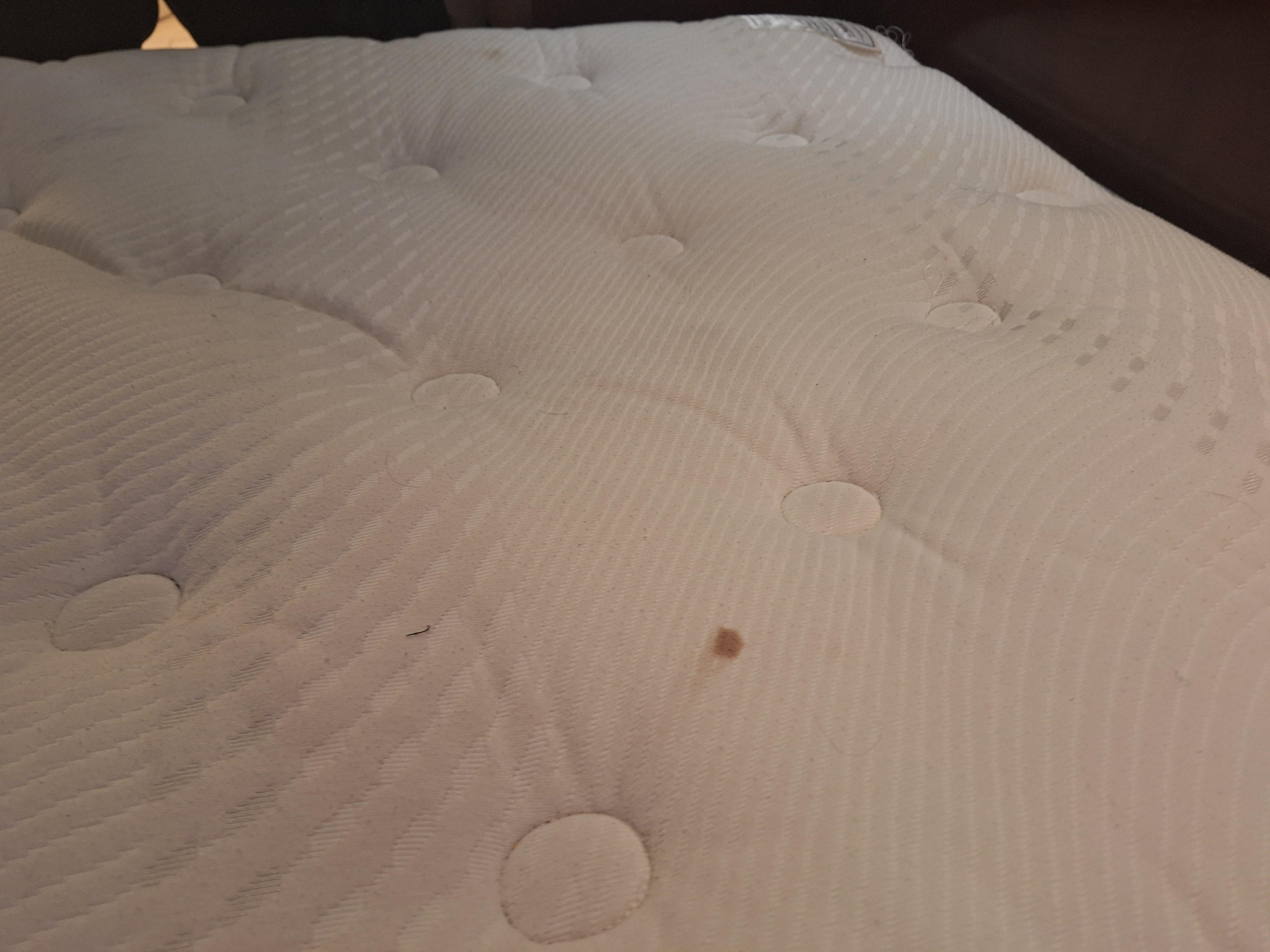Dried blood on mattress.