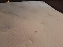 Dried blood on mattress.