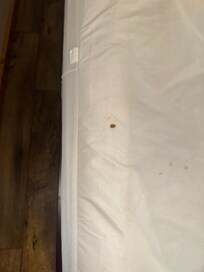 Stains on the bed