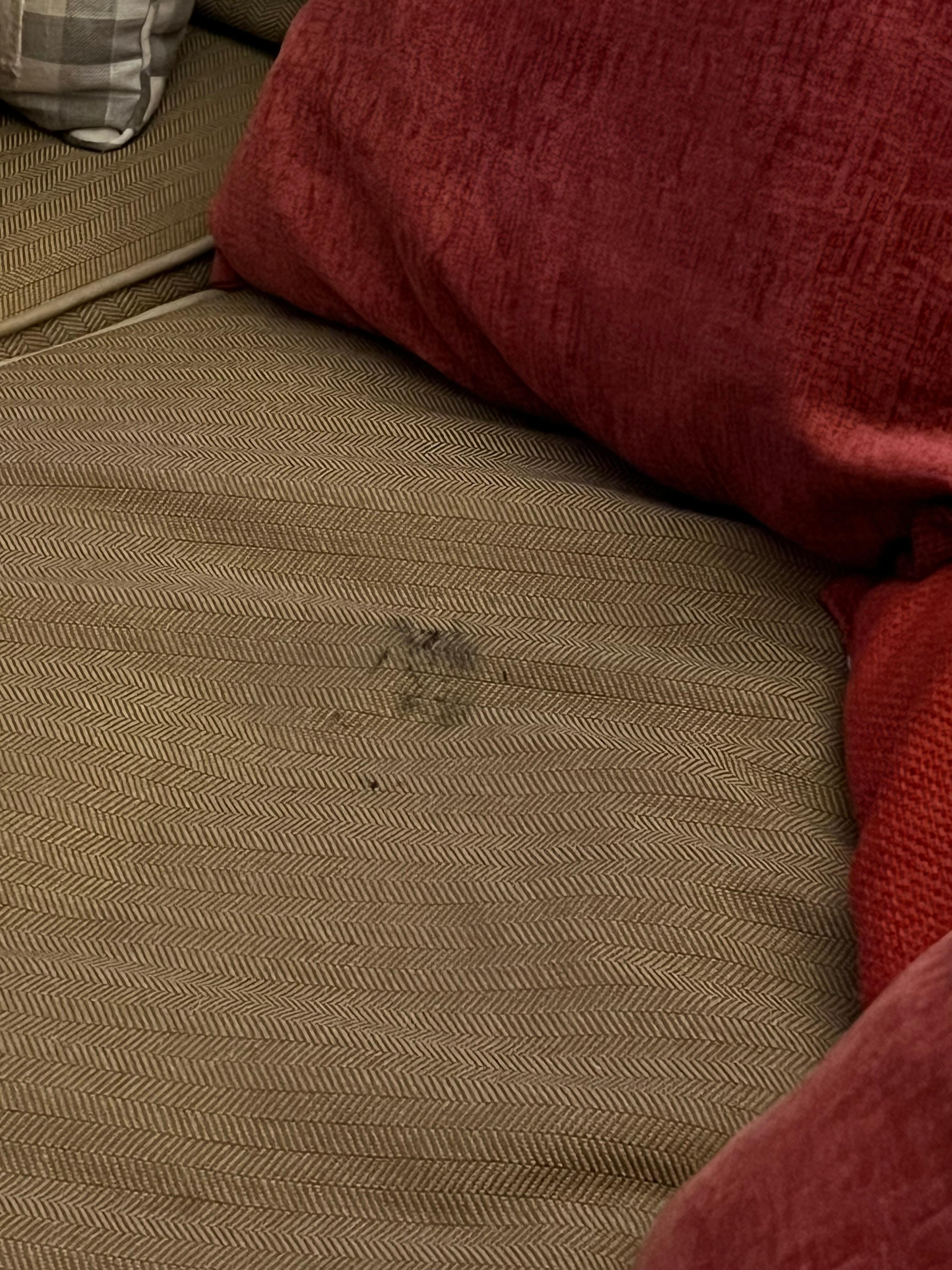 Furniture was covered in dirt