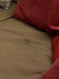 Furniture was covered in dirt