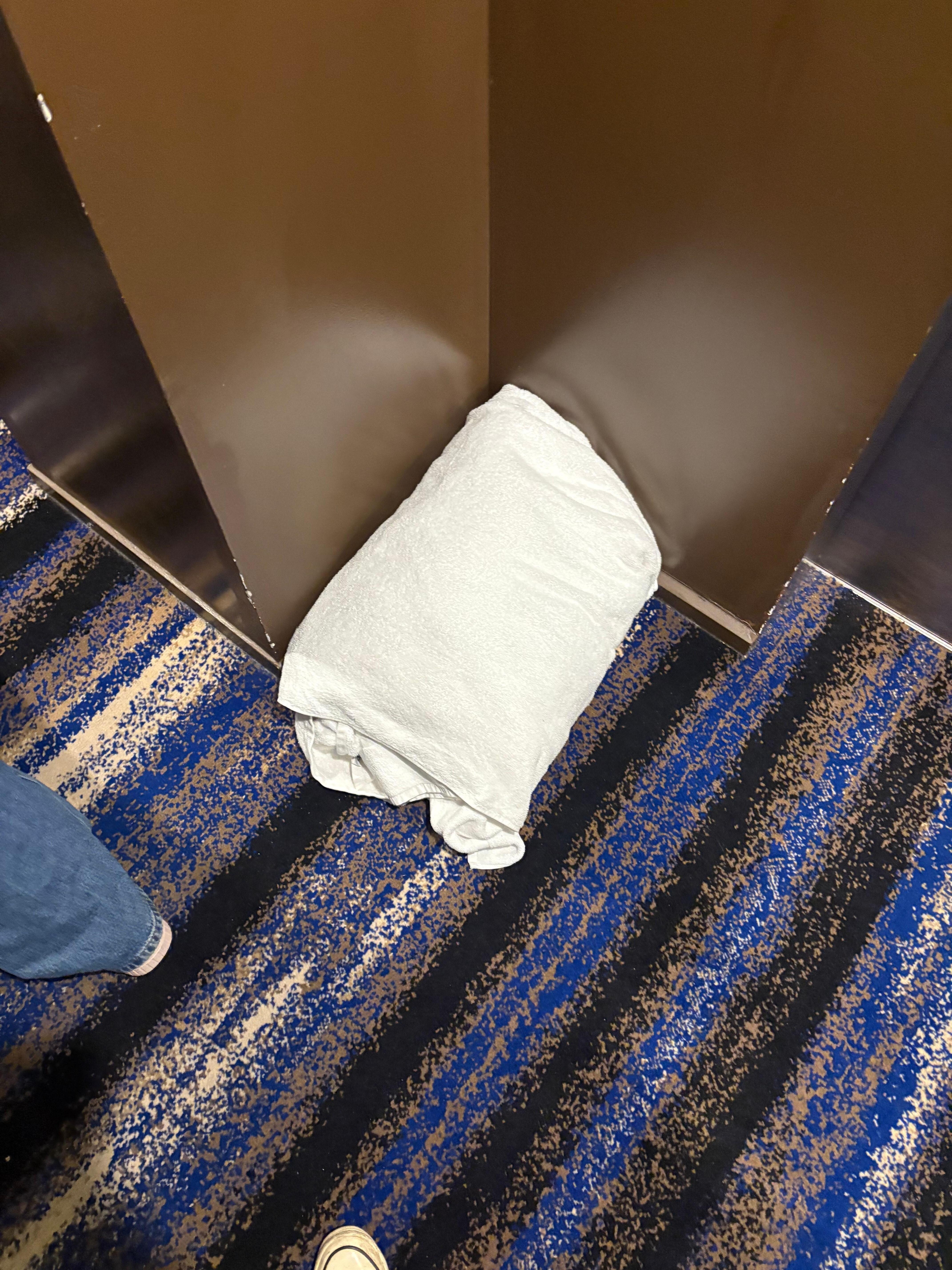 Random towel in hallway stayed there the whole time