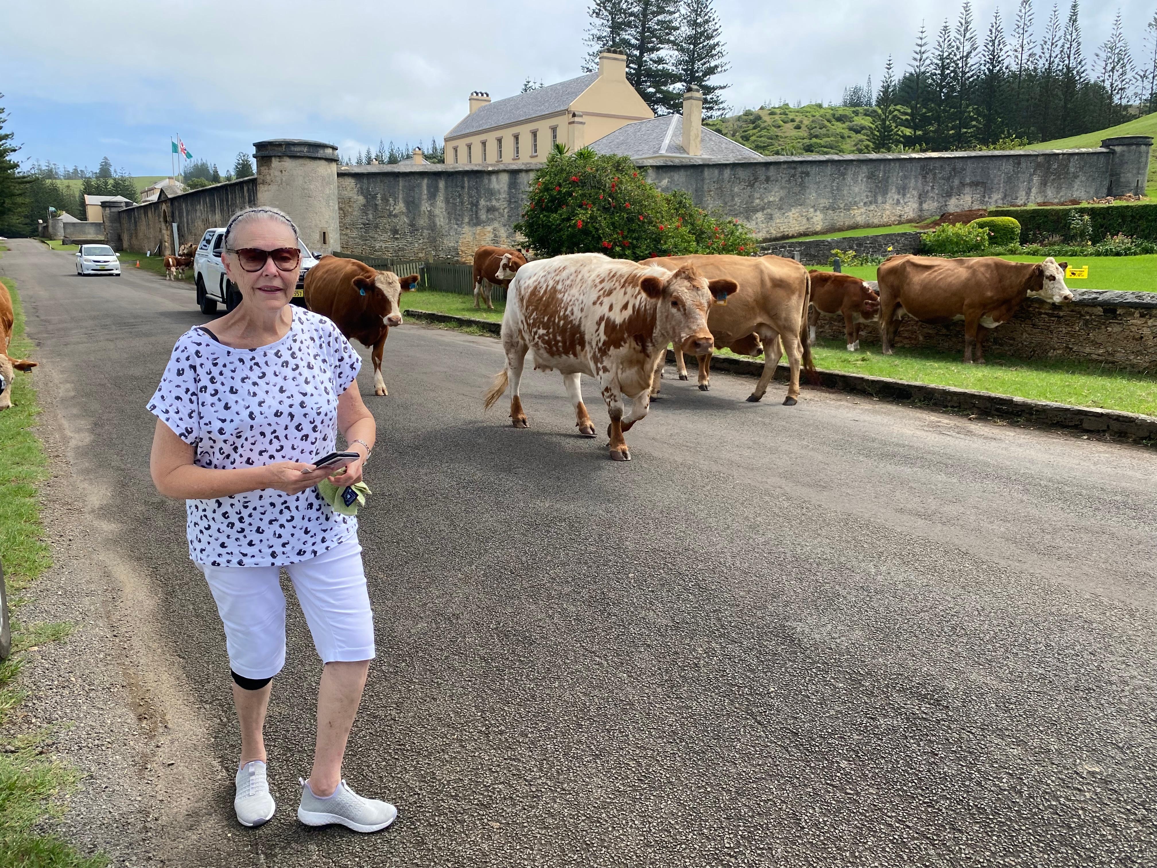 Sharing the roads with a few of the locals 