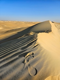 Safari in the Sahara- So much fun!
