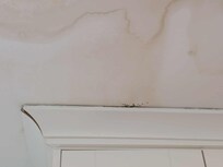 mold under cabinet trim