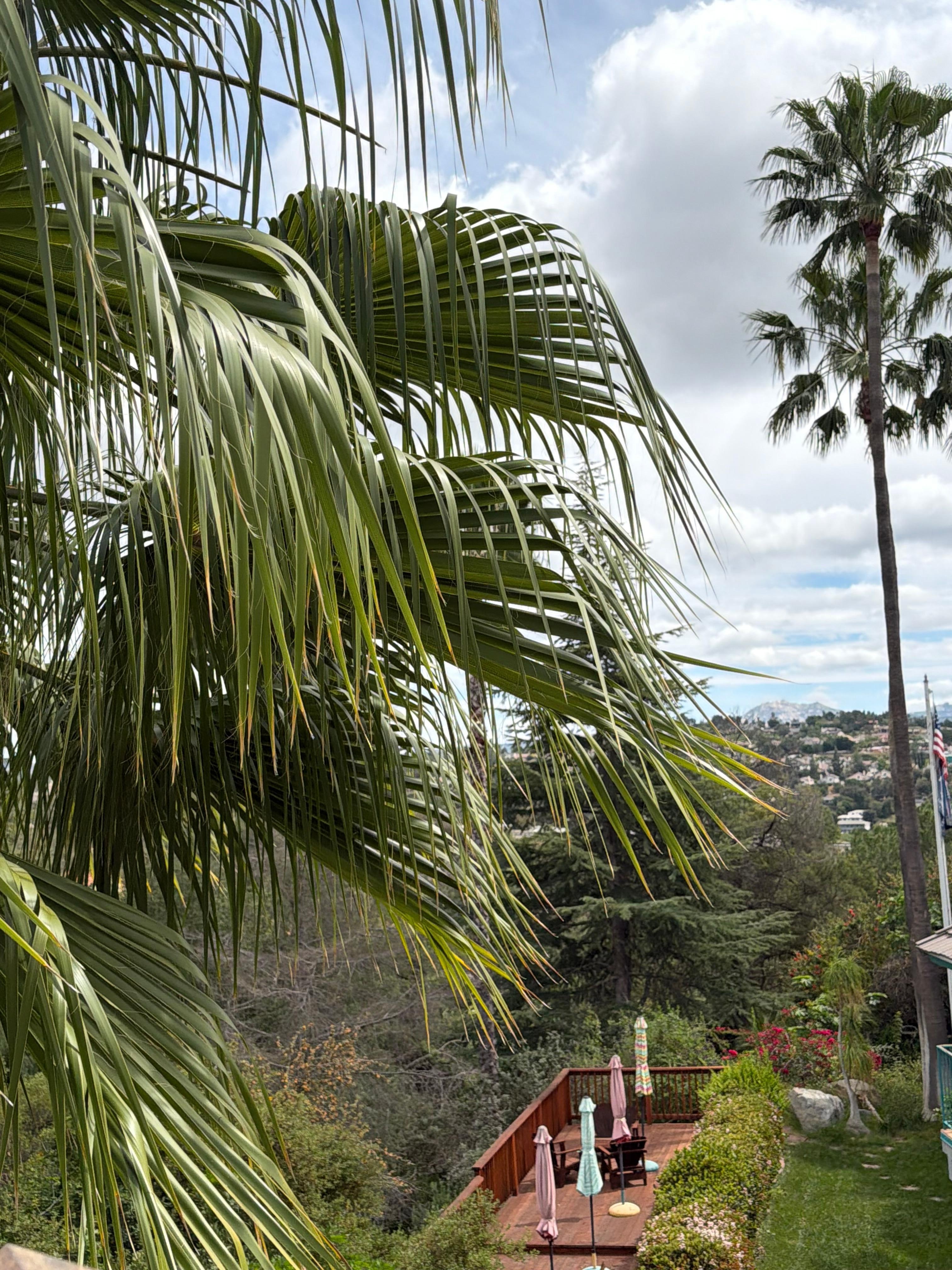 View from the rooftop lounge