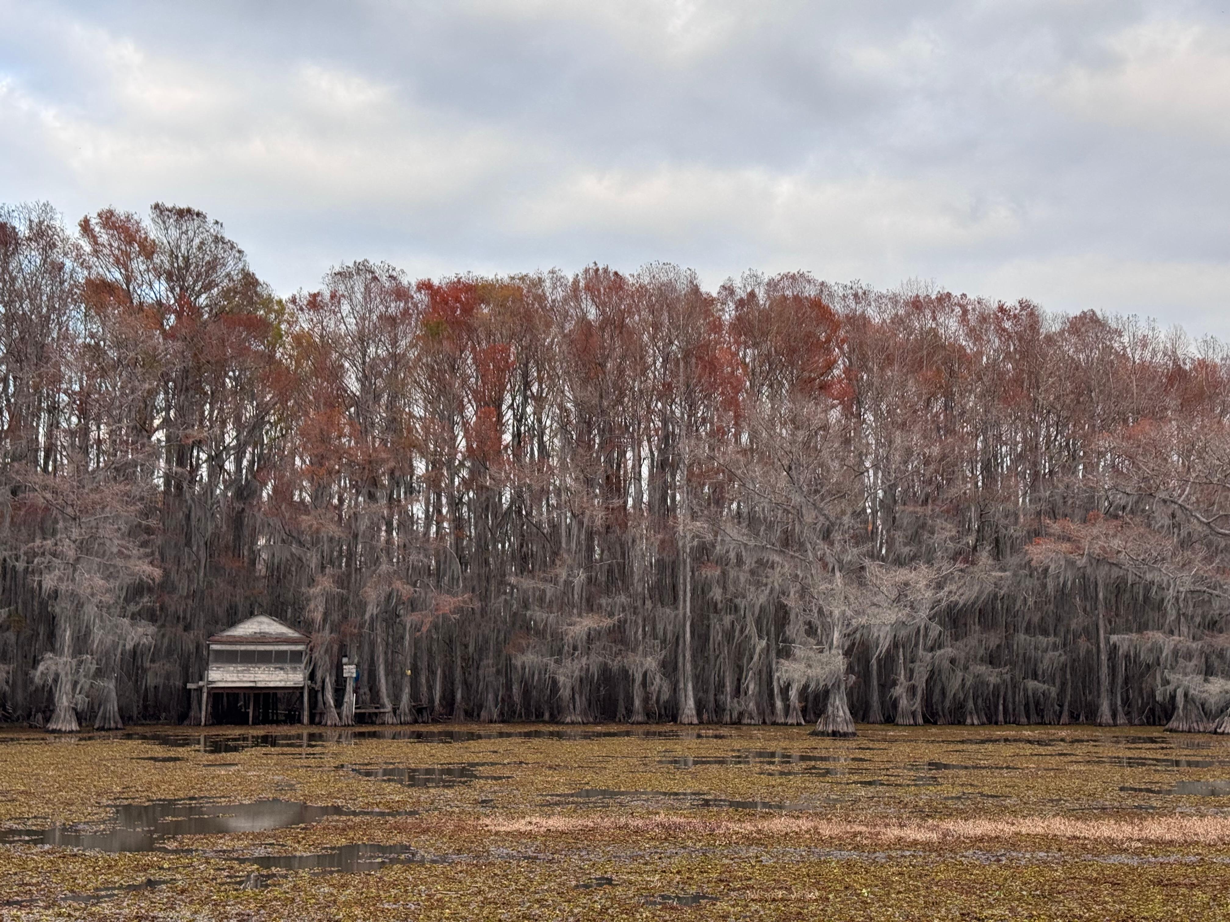 A nod to the HBO series, True Blood. 