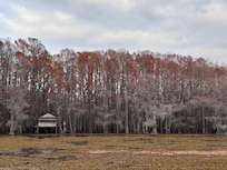 A nod to the HBO series, True Blood.