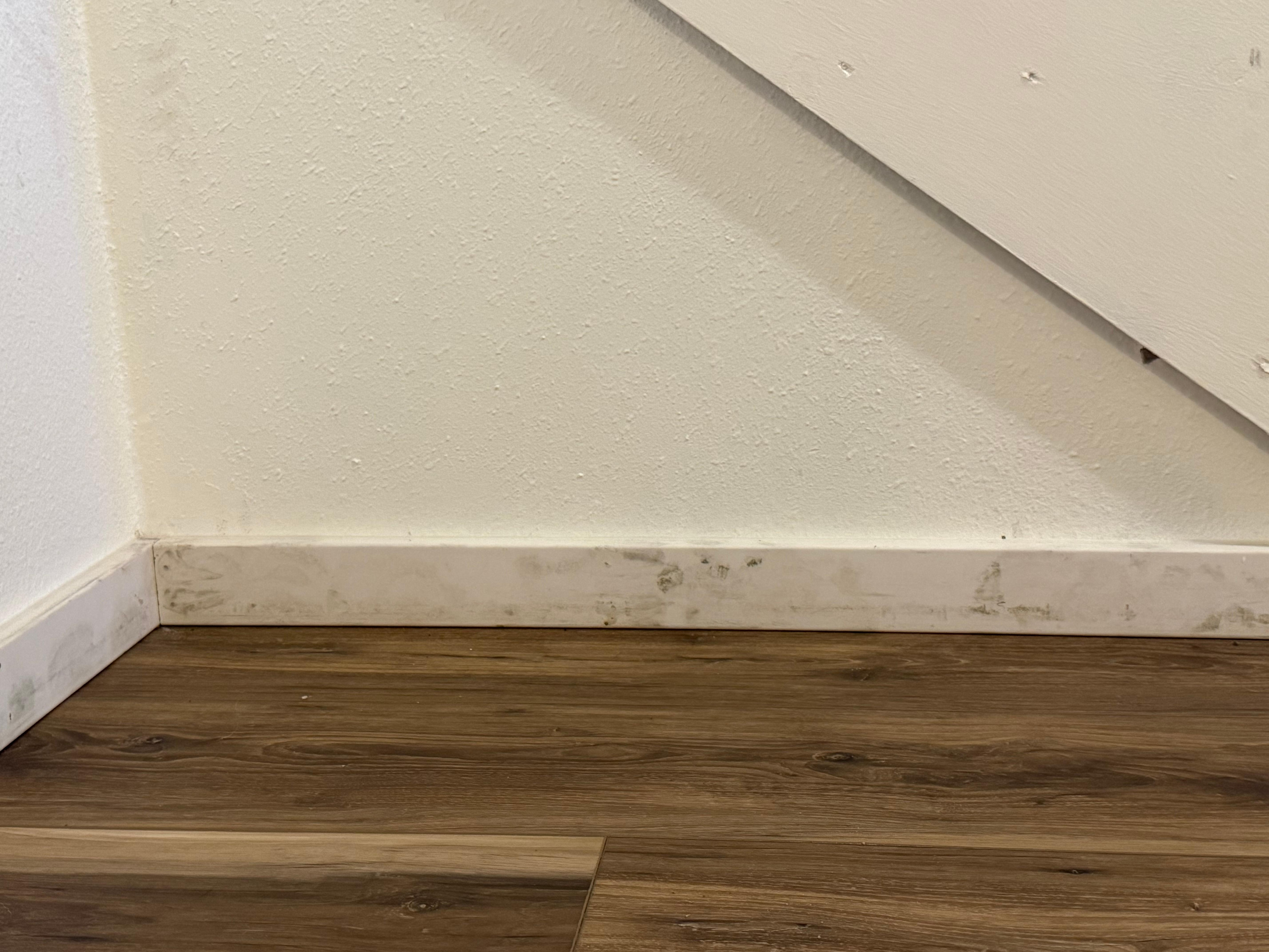 The downstairs was either dirty or had mold growing on the baseboards. 
