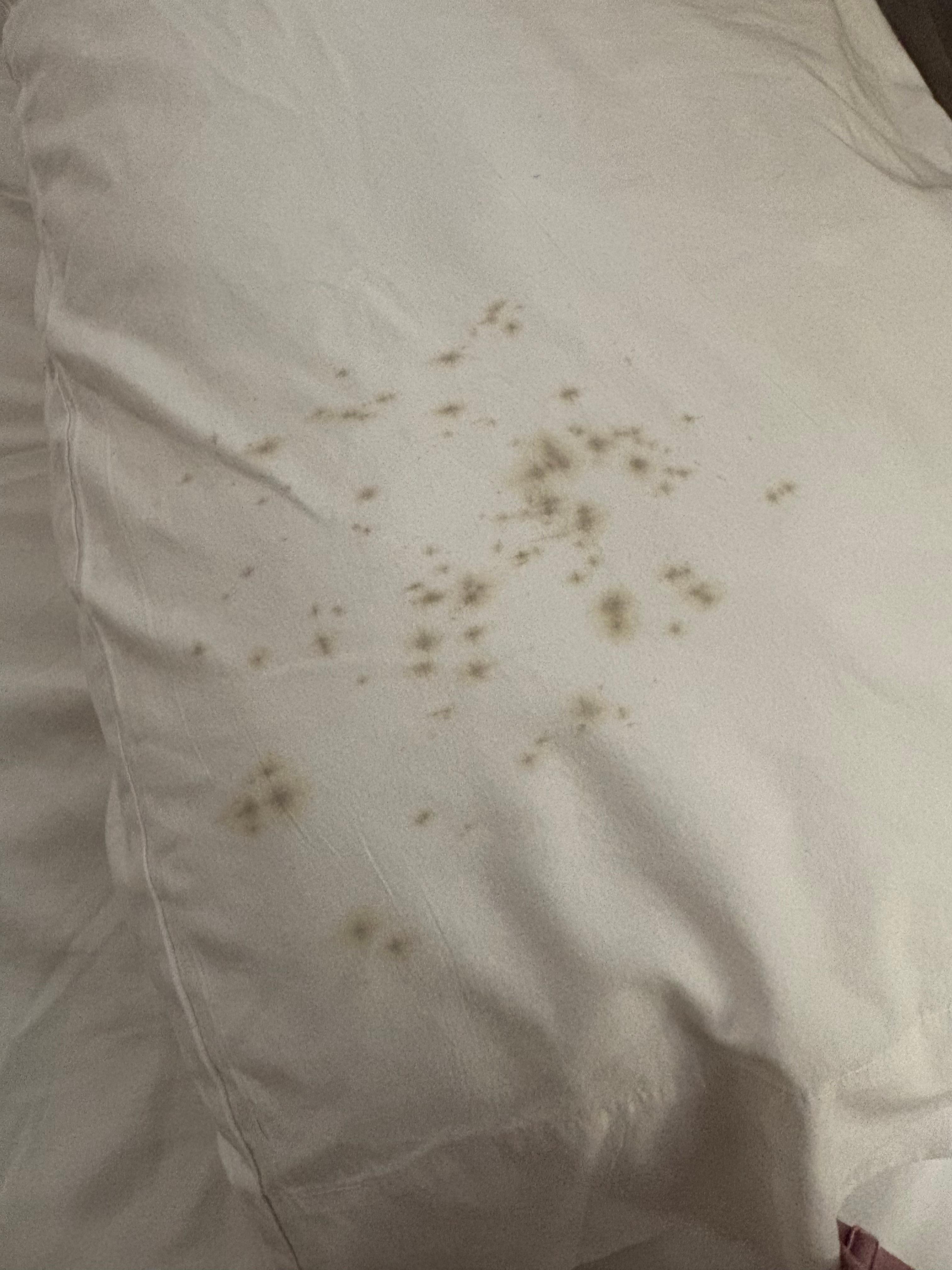 Mold on pillowcase