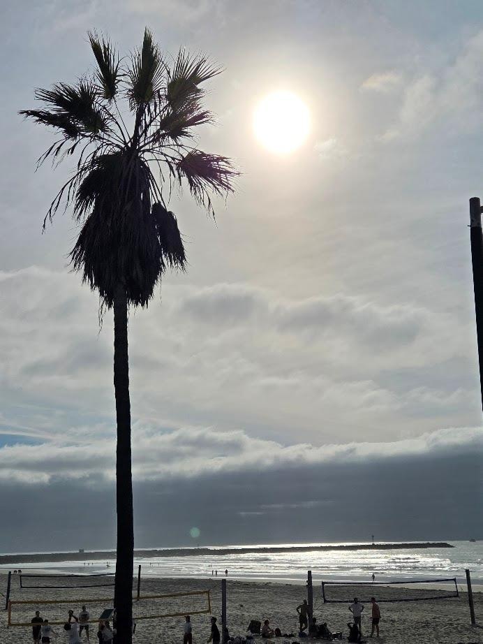 Relax on a comfortable terrace with front seat view on beach activities