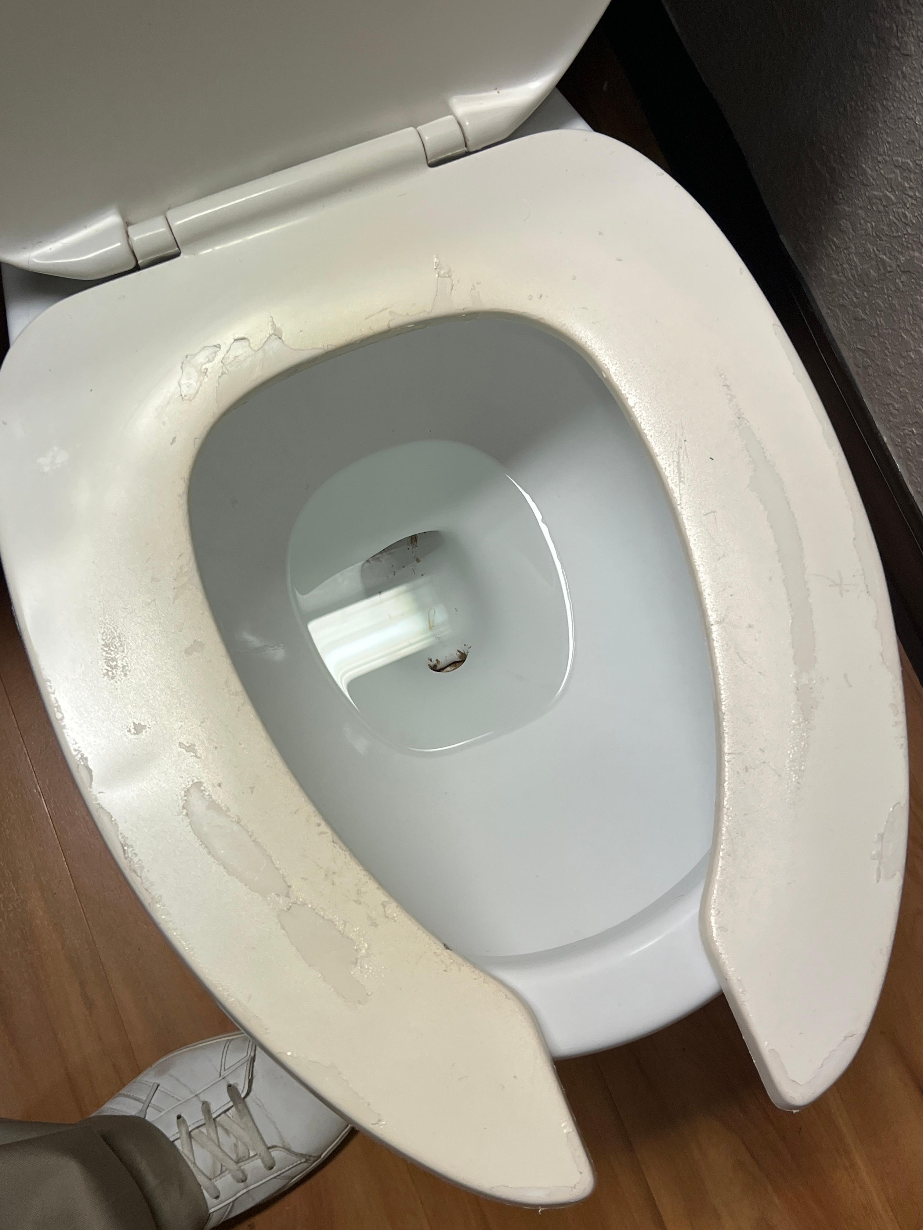 Nasty toilet