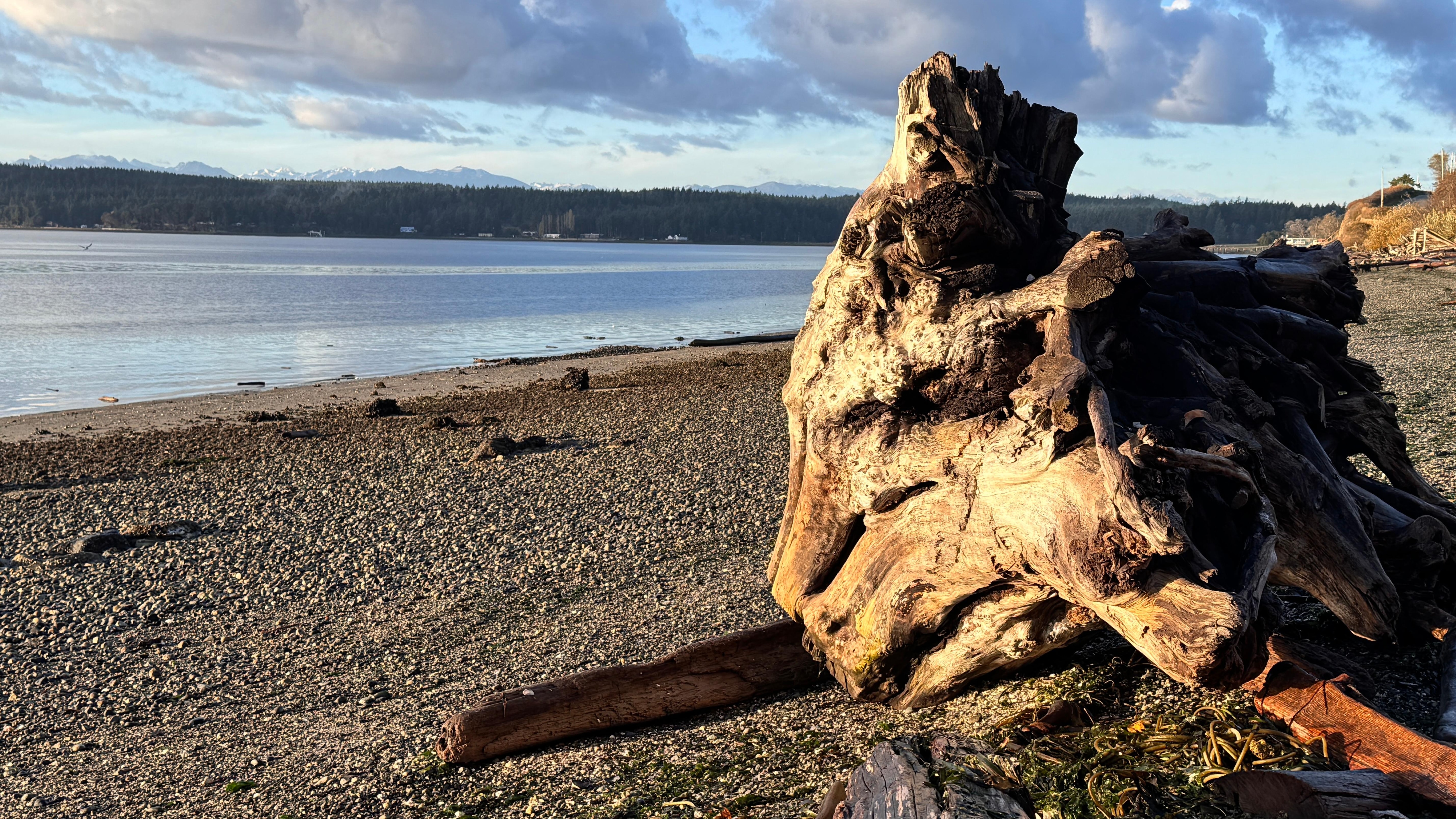From the beach at the cottage.