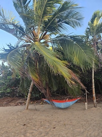 Our hammock from home worked perfectly!