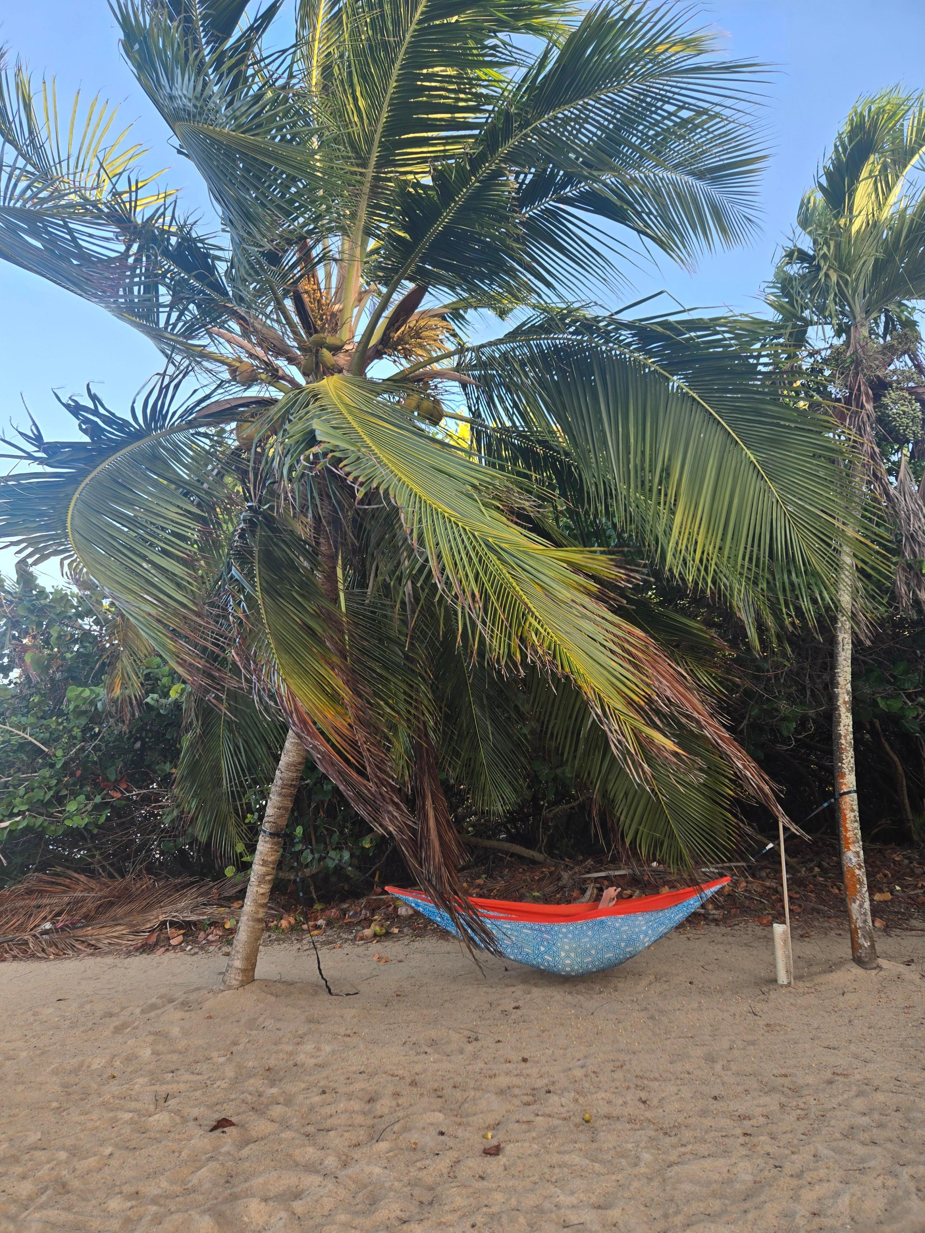 Our hammock from home worked perfectly!