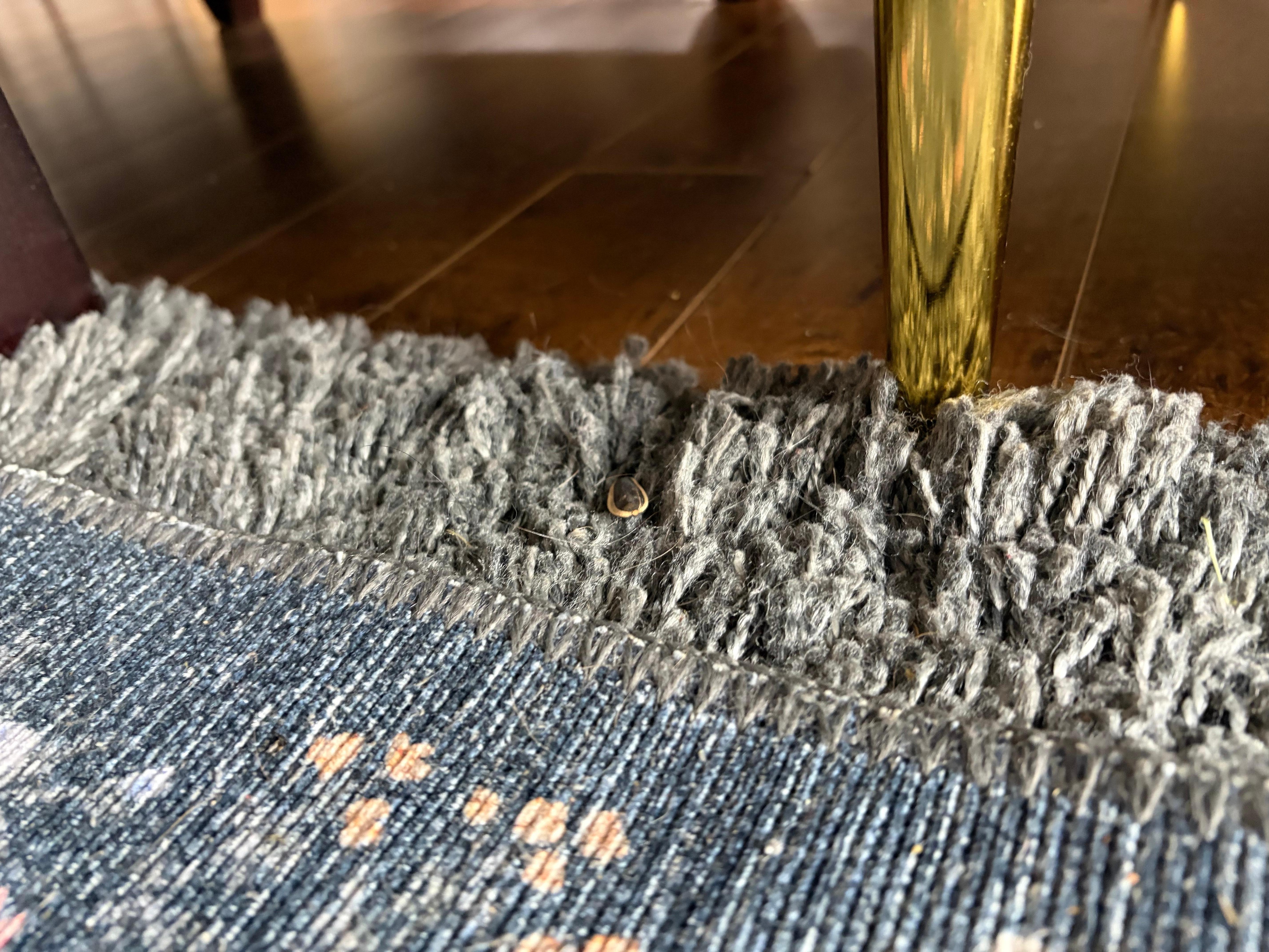 Sunflower seeds in the rug.  Can’t take a picture of a smell, but there were layers of dirty rugs throughout.