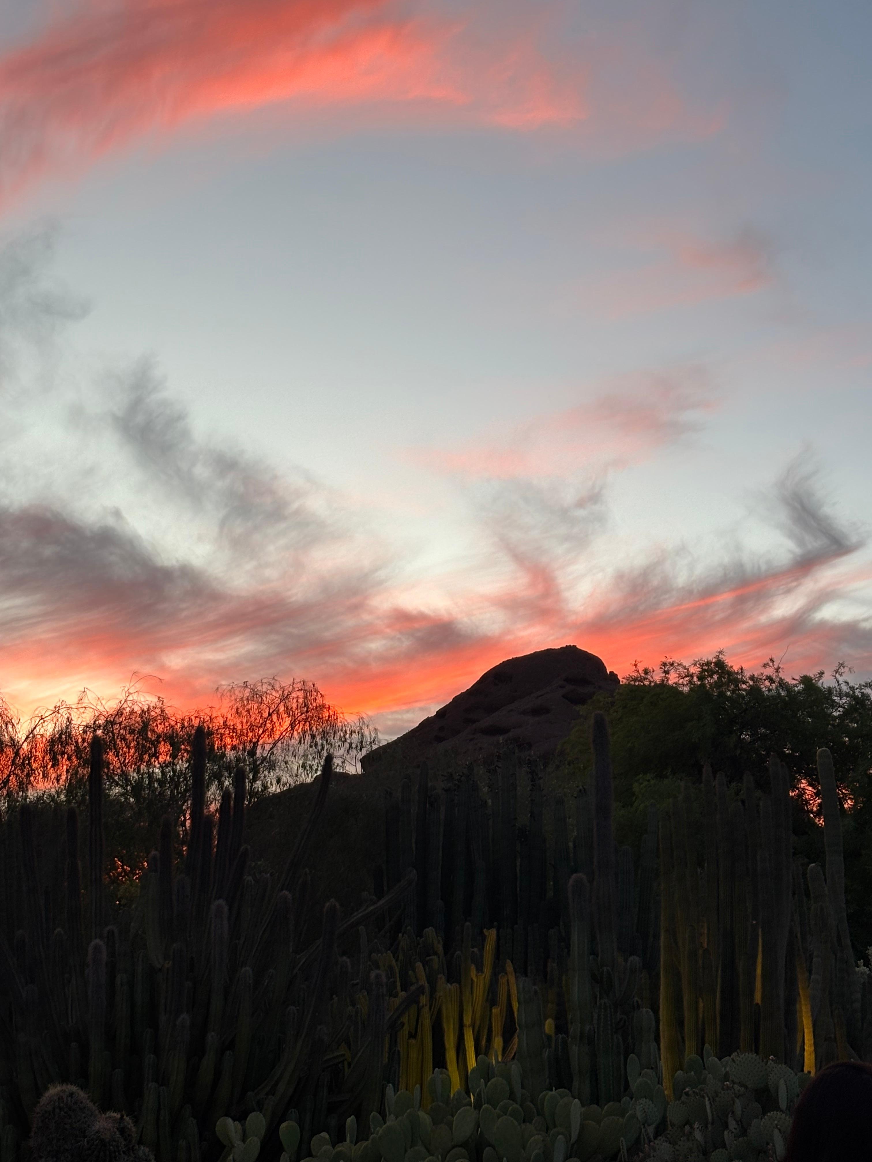 Phoenix sunset