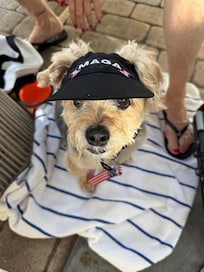 Making Key West Great Again !!