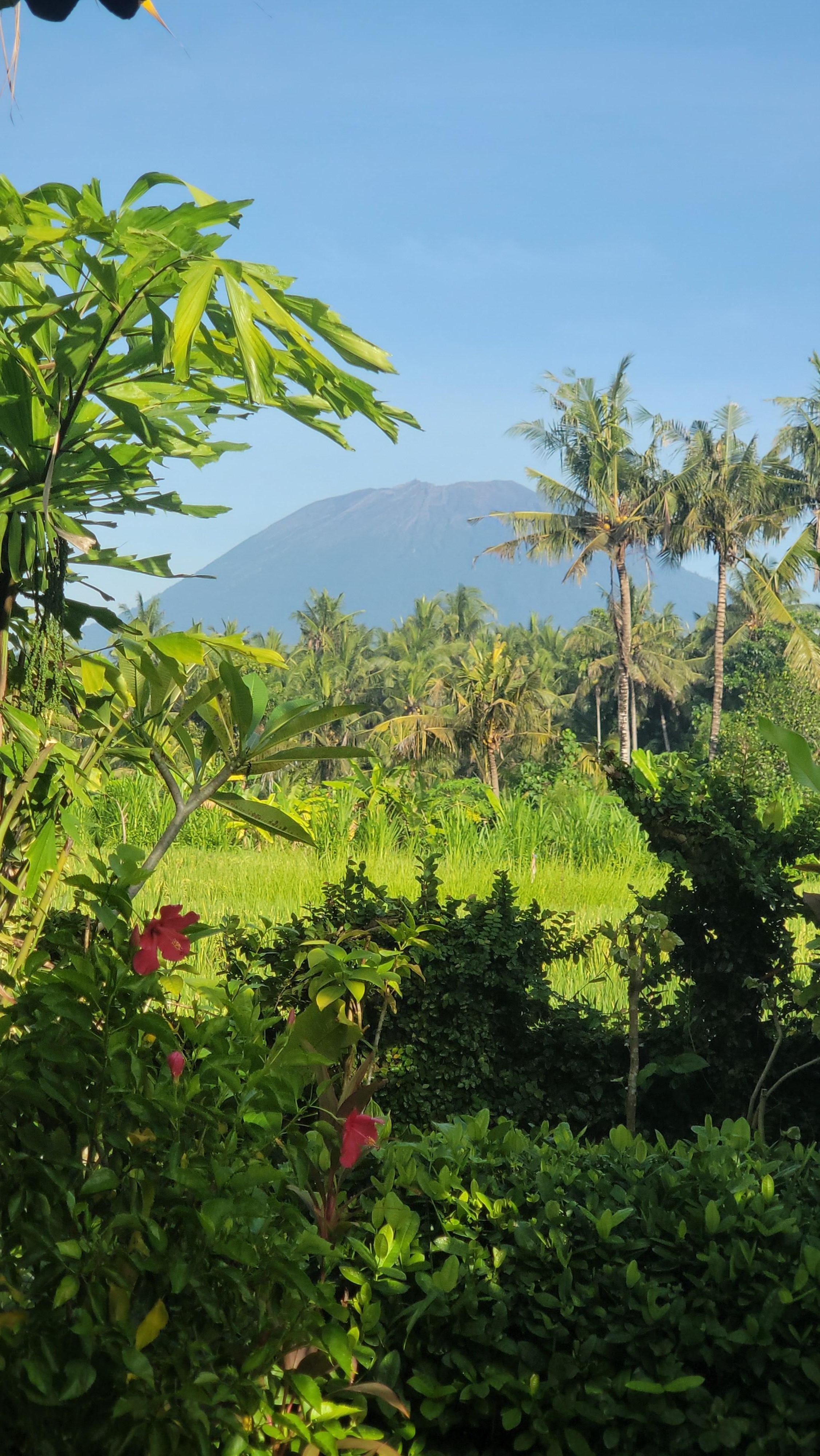 Aussicht auf den Vulkan von der Terrasse aus, wunderschön. 