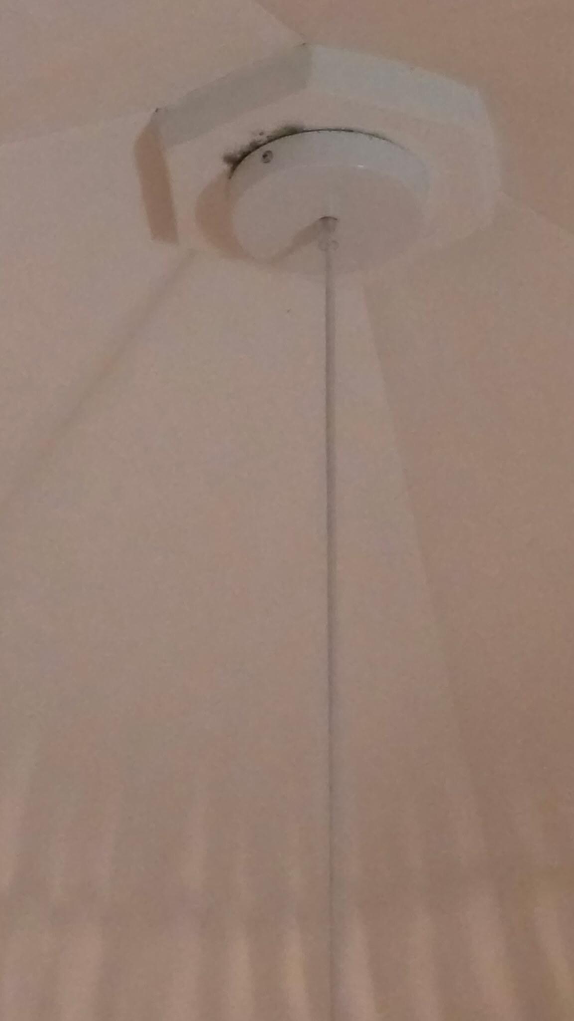 Mold in primary bedroom around the light fixture on the ceiling. Cleaning person was made aware and said she'd tell her boss. 