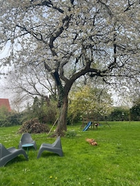 De tuin