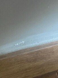 Damage to baseboards