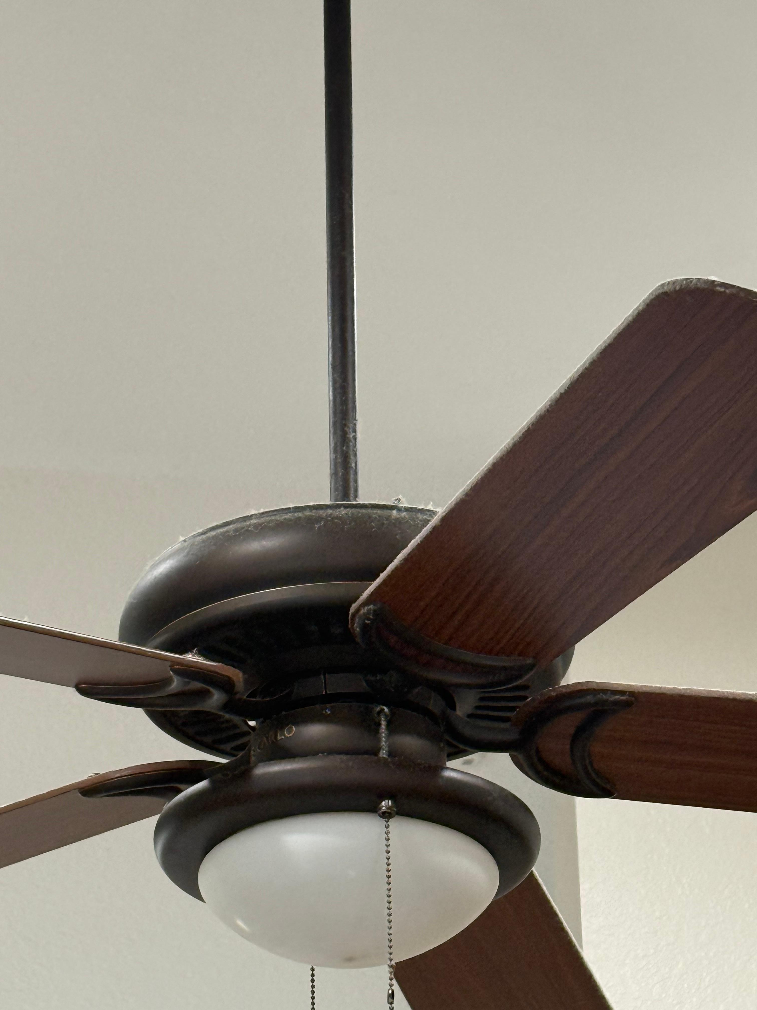 The dust was significant and irritated my son’s allergies. I had a swiffer delivered and dusted the fans. 