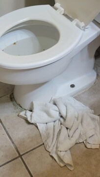 Leaky toilet