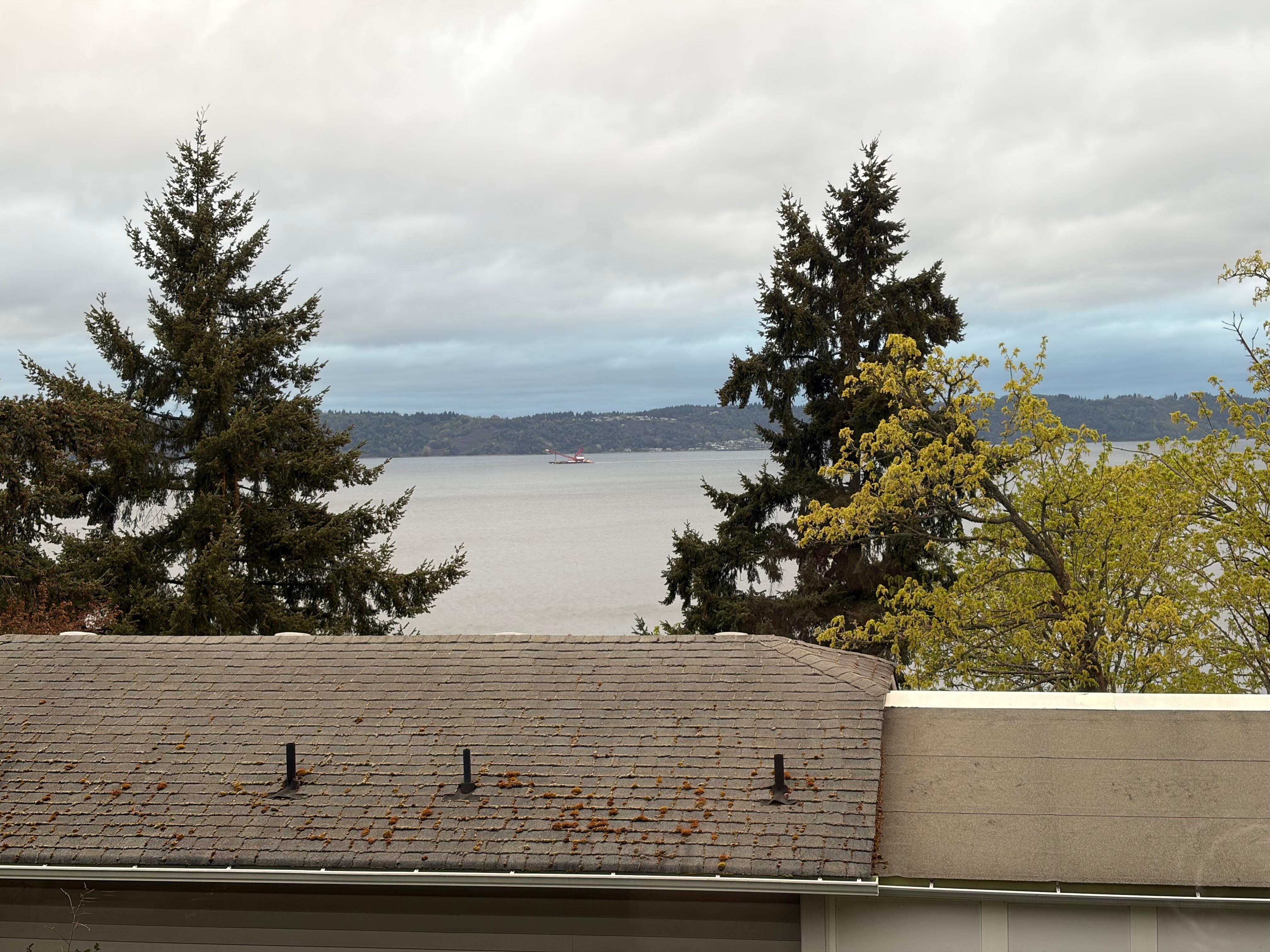 View from back deck.