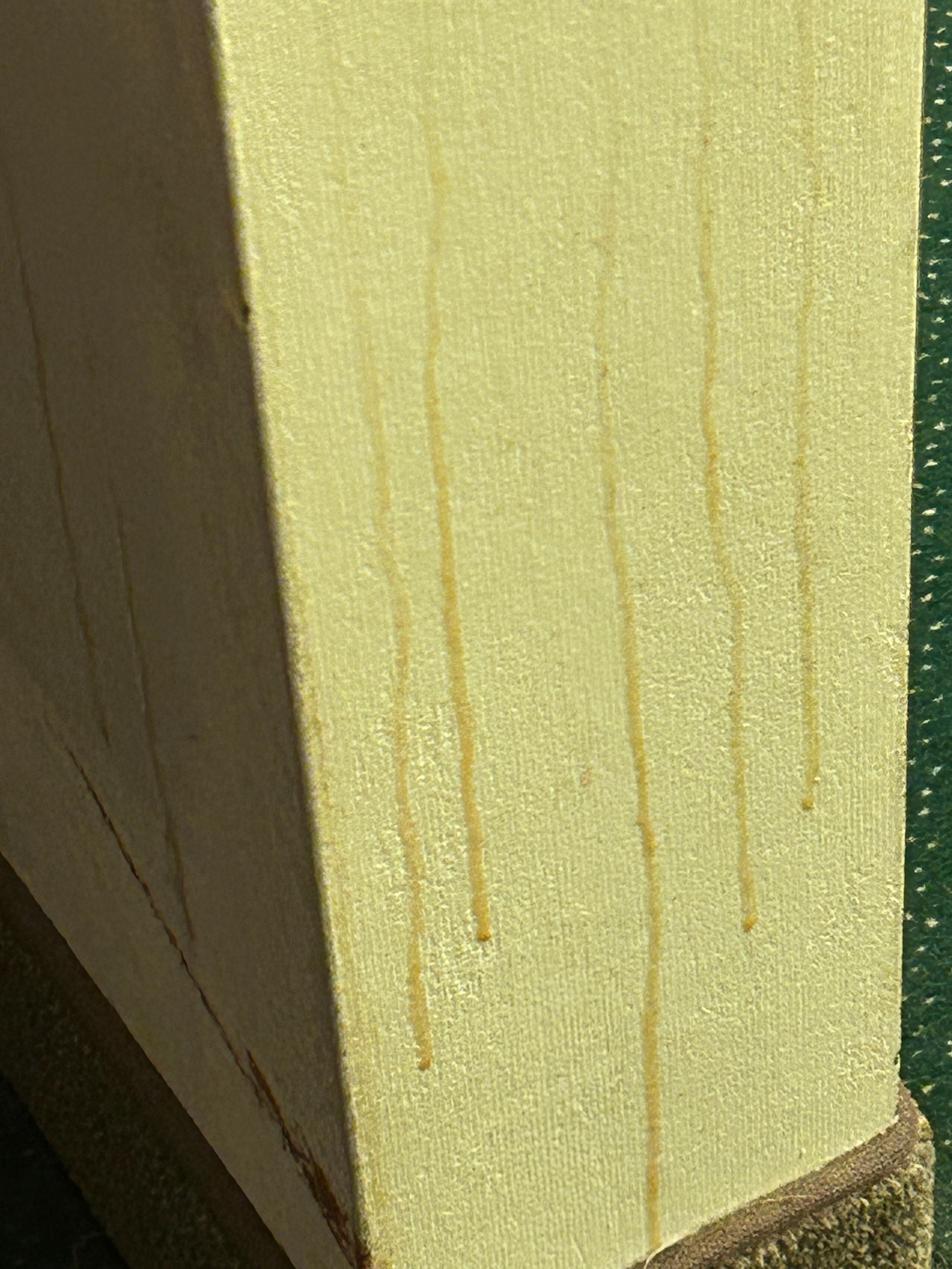 Dirty walls in motel room