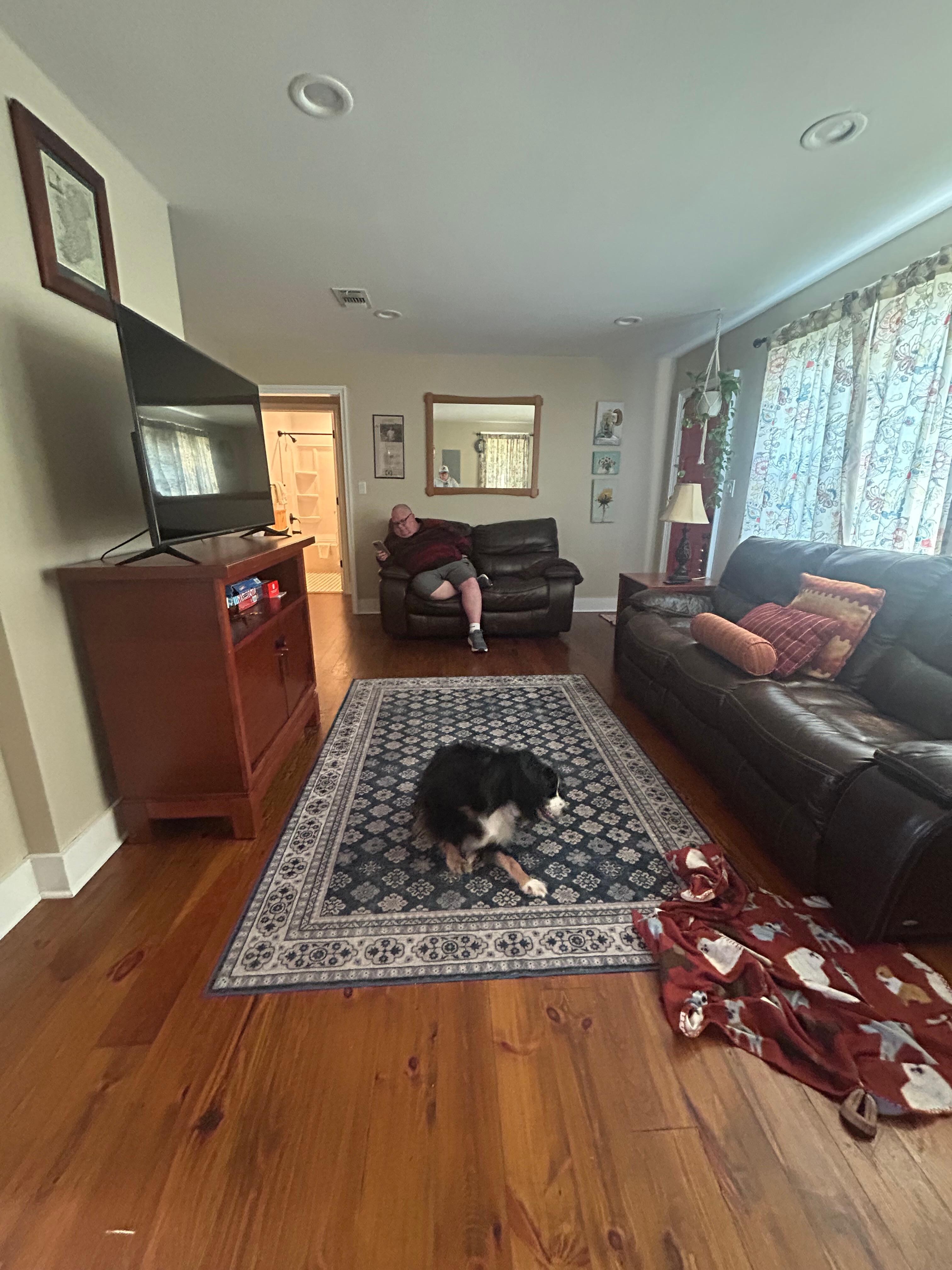 Levi approved! Comfy living room 