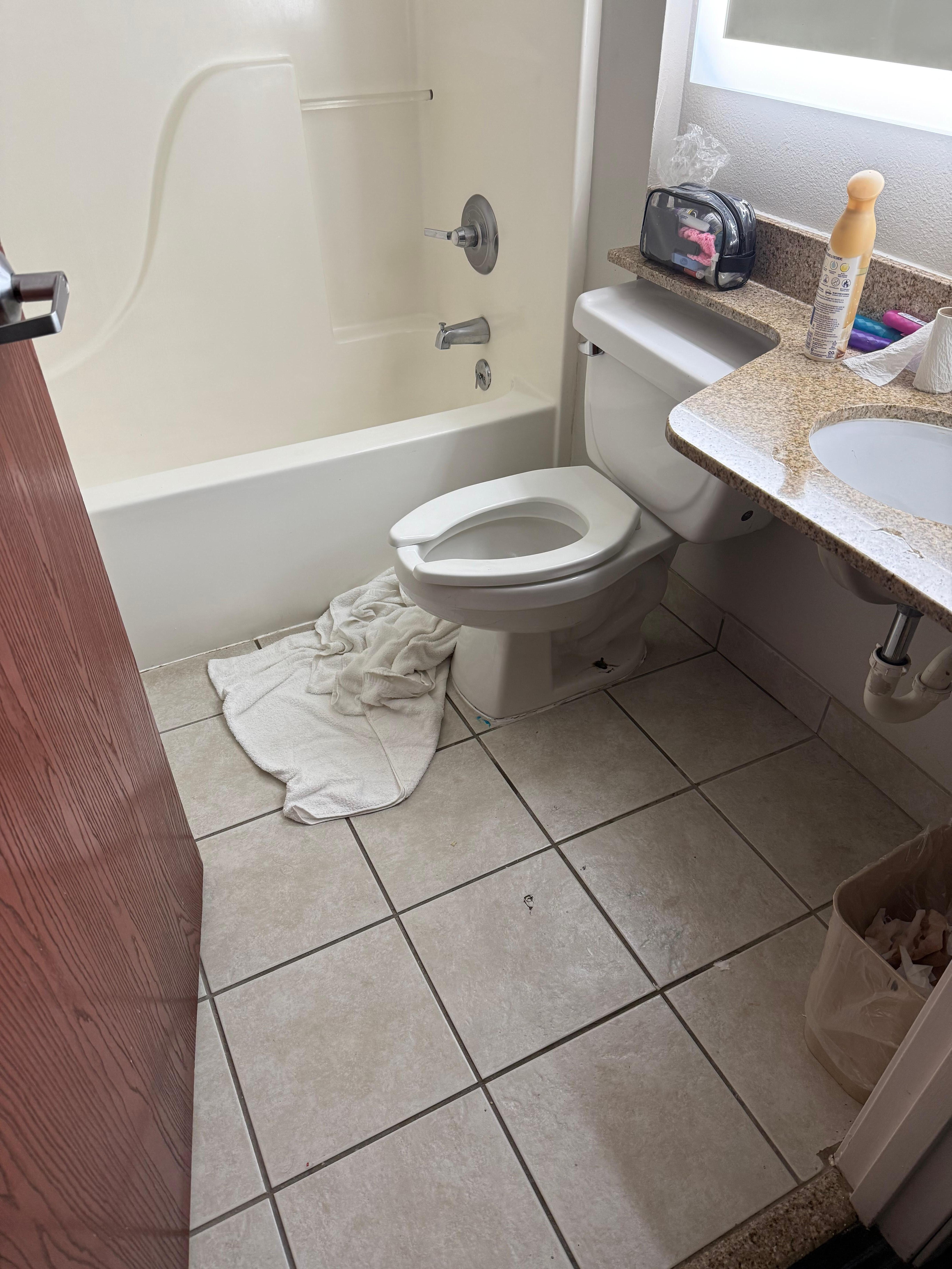 Flooded toilet with no assistance from management. 