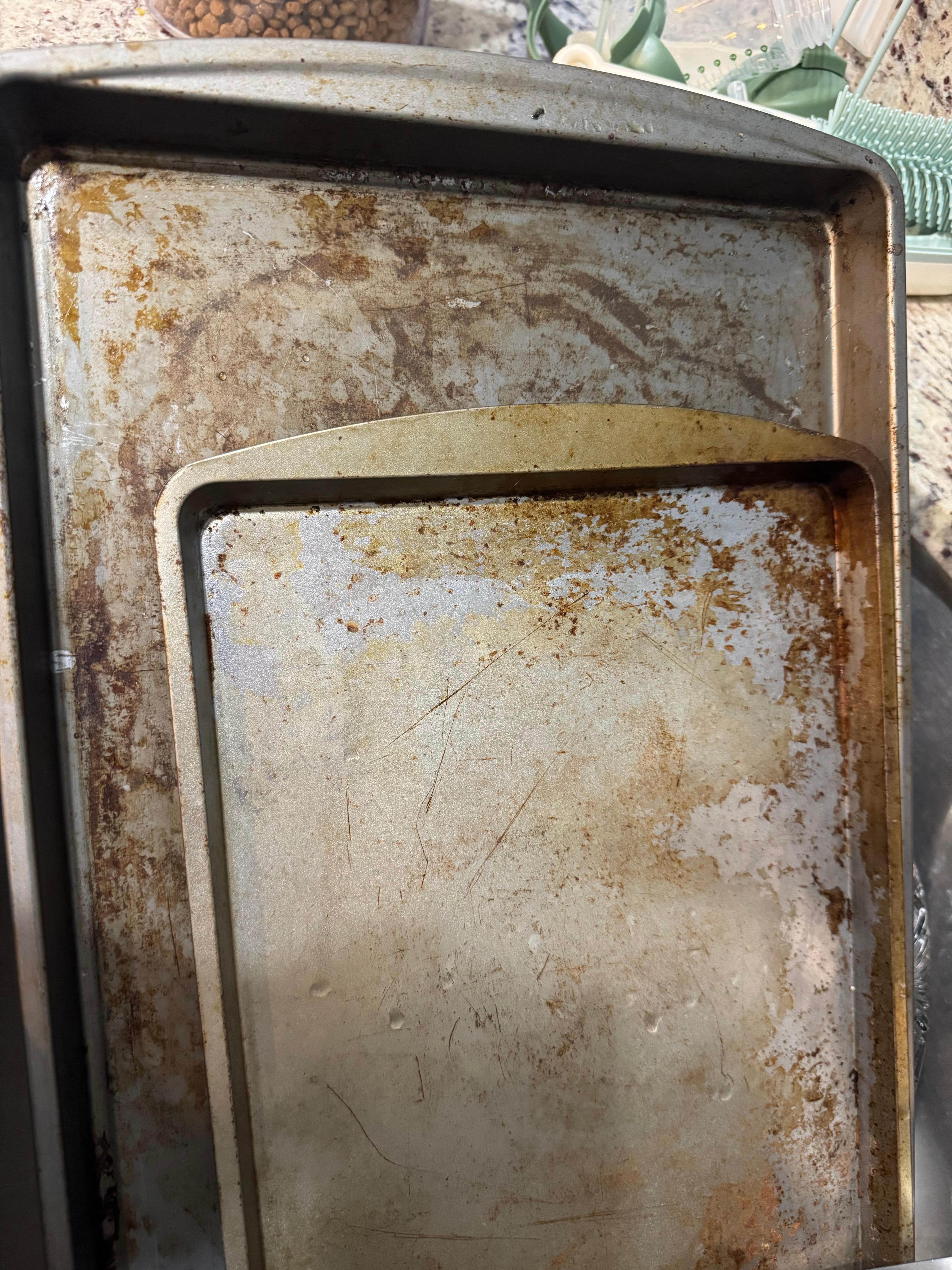 The only two baking pans or trays in the home and they were disgusting!!